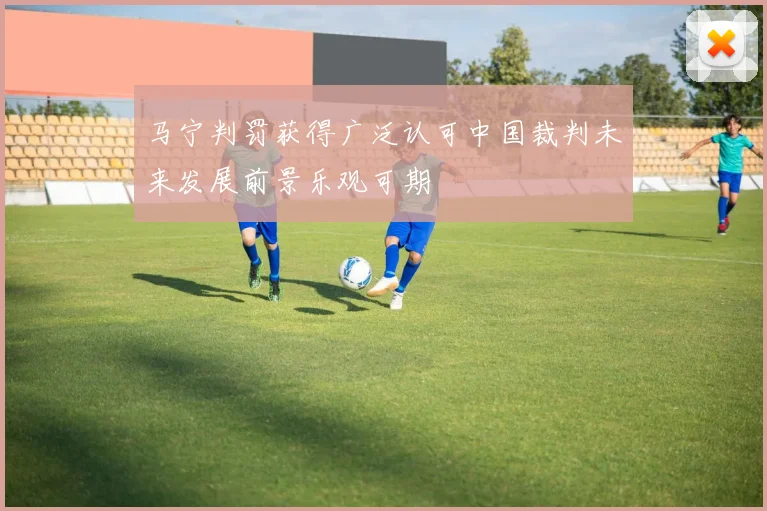 马宁判罚获得广泛认可中国裁判未来发展前景乐观可期