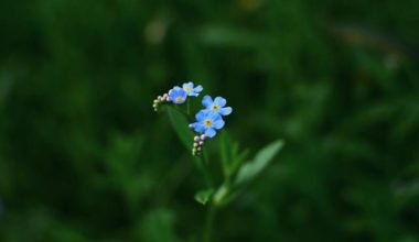 Xử lý hóa đơn đã sử dụng nhưng chưa lập “thông báo phát hành hóa đơn” Xử lý hóa đơn đã sử dụng nhưng chưa lập “thông báo phát hành hóa đơn”